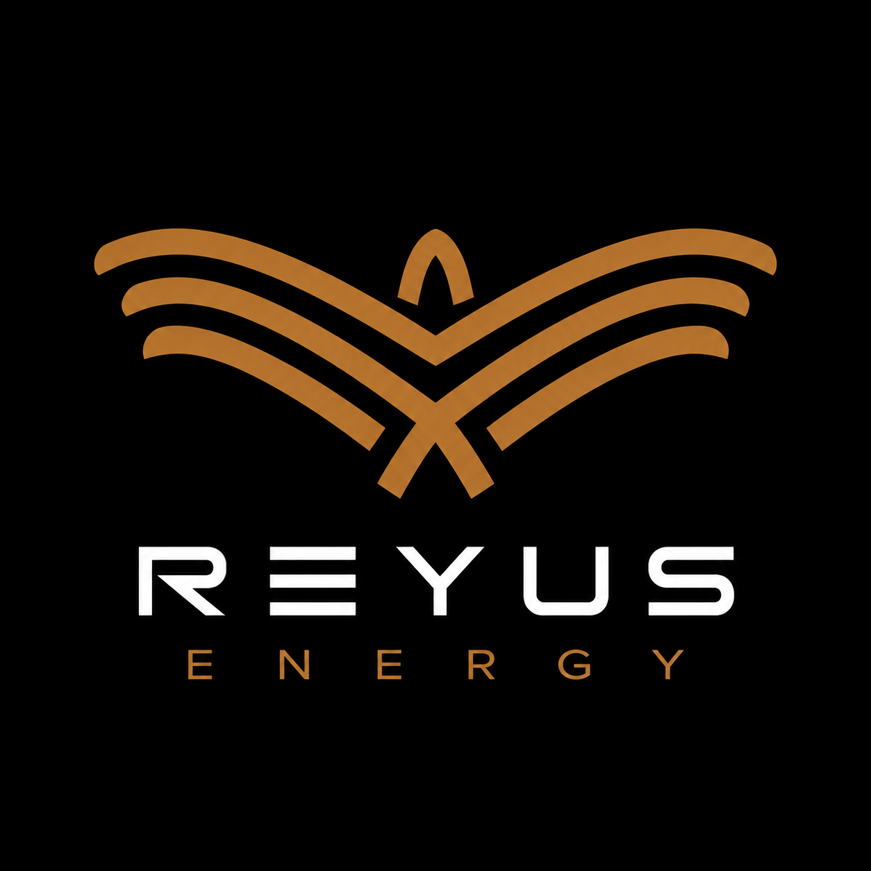 Reyus Energy